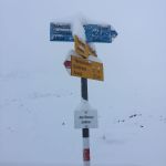 2017-09-11 at 08.07.13.jpeg